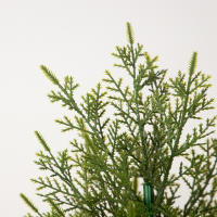 Árbol De Pino Artificial De Navidad 40-50cm Ramas De Ciprés Para Decoración De Jardín Y Hogar Planta De Xmas Para Fiesta De Año Nuevo Y Porche - details 6
