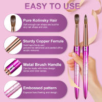 Cepillo De Arte De Uñas Kolinsky Acrílico Con Mango De Madera Herramientas De Manicura Cepillo De Gel De Tamaño 2-14 Para Dibujar - details 0