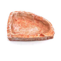 Tazón De Alimentación Para Reptiles Y Tortugas De Resina 10cm Olla De Alimentos Y Agua Para Acuarios Suministros Para Lagartos Y Scorpiones - details 24