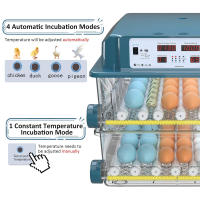 Incubadora de huevos 120, incubadora de huevos derecho para incubar pollitos, volteador automático de huevos con control de temperatura ,5 modos de incubación automáticos - details 3