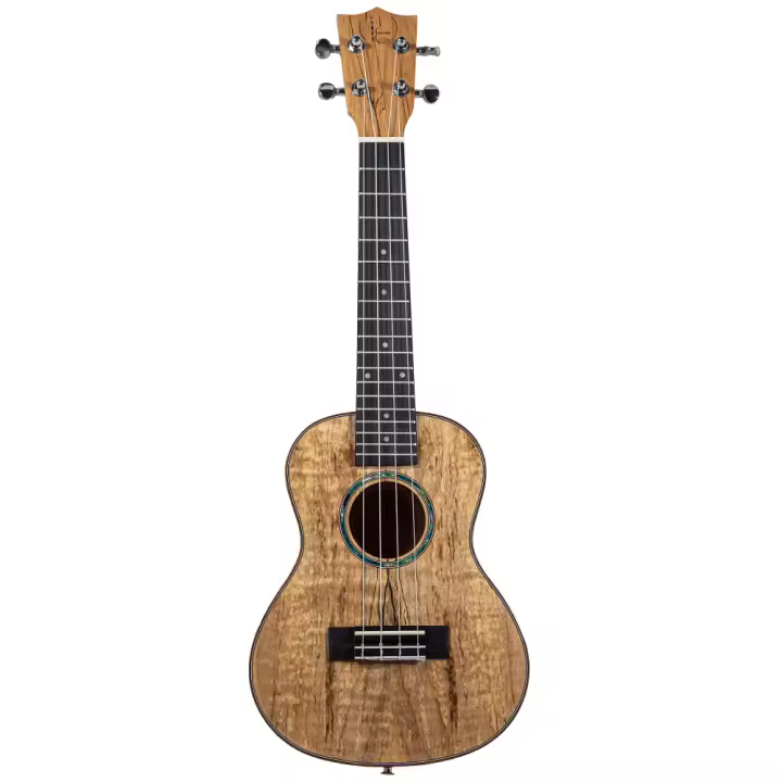 Ukelele Concert Bones SP350C Rotten Wood - 1