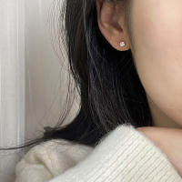 Pendientes De Crystals Zirconia Para Mujer 1Pareja De Estilo Helix Y Bone Nail Piercing En Acero Inoxidable Joyería De Regalo - details 11
