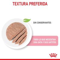 12 x 195 g - Royal Canin Mother & Babycat Mousse   Alimento Completo para Gatos  Especial para gatas Madres y Sus Cachorros  para reforzar Las defensas del organismo - details 2