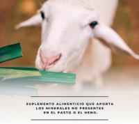 FINCA CASAREJO Minerabloc - Minerales para Rumiantes - Suplemento Alimenticio para Ovinos, Caprinos y Bovinos 10 Kg - details 2