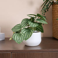 1PC Simulada Planta En Maceta Para Decoración De Oficina Negocios Foyer Jardín Floral Decoración De Hogar Estilo Vínculo - details 9