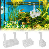 Soporte De Plantas Para Acuario De Acrílico Con Soporte Colgante Y Transparencia Alta Para Floristería Y Jardinería - details 0