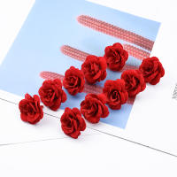 5/10pcs Hojas De Ciprés Para Decoración De Navidad Y Bodas Artesanías Y Flores Decorativas Plantas Artificiales De Prensa PP - details 10