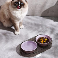 Tazón De Comida Para Gato 1PC Color Caramelo Doble Boca Oblicua Para Proteger La Columna Vertebral Y Prevenir La Voltereta - details 4