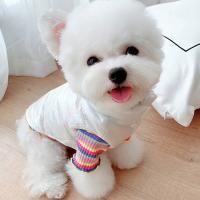 Chaqueta De Invierno Para Perros Con Capucha Reflectante Impermeable Y Térmica Cómoda Ropa Exterior Windproof Para Mascotas - details 14