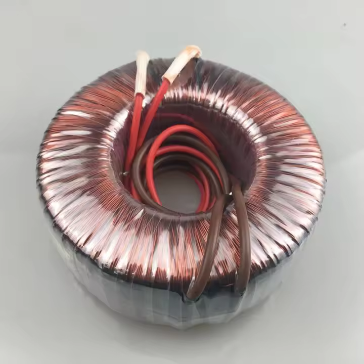 Transformador toroidal de 100W 12V- AC Tosun - 1