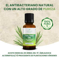 Árbol de té de Australian Company, 100% puro - details 0