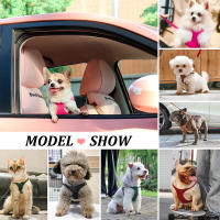 Juego De Arnés Y Correa Para Perros De Cuero PU Durable Arnes Suave Para Pequeños Y Medianos Perros Chihuahua Pug Con Guía De Caminar - details 14