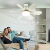 Ventilador De Techo Con Luz LED De 30W Base E27 Control Remoto 3 Modos De Iluminación Ajustables Alta Potencia De Viento Moderno - details 11