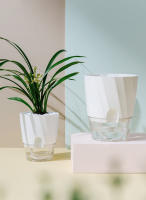 Maceta Hidroponía Automática Transparente Doble Capa De Plástico Para Oficina Rellena Con Agua Self-Watering Planter - details 6