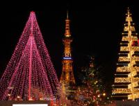 Luces De Garland LED Impermeables Para Decoración De Navidad Y Bodas 10m 30m 50m 100m Luz Faeira Para Interior Y Exterior 220V EU - details 7