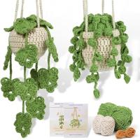 Kit De Inicio Para Crochet De Hoja En Macramé Para Principiantes Con Yarn De Algodón Set De Decoración De Plantas En Maceta - details 1