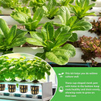 Kit De Cubos De Túnel De Hidroponia 72 Piezas 1.5 Pulgadas Absorción De Nutrientes Con Red De Malla Para Plantas En Casa - details 5