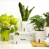 Maceta Automática De Riego Para Plantas 1PC Plástico Decoración Para Hogar Y Jardín Irrigación Inalámbrica Para Flores Internas - details 4