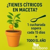 FERTIBONO Abono Cítricos Premium para Limonero y Naranjos, 20-5-11, (2Kg), con Hierro, Calcio, Azufre, Magnesio, y Manganeso - Evita Amarillo en Hojas, Corrector de Carencias Múltiples - details 1