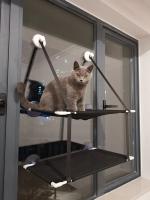 Cama De Gato Colgante Para Ventana Hamaca Solar Asiento Doble De Túnel Con Adhesivo En La Pared Sofá Para Gatos Tamaño 51x31cm - details 16