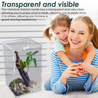 Caja De Alimentación Para Mascotas Arborescentes Acranged Transparente De Plástico Terrario De Enclosure Para Reptiles Y Invertebrados De Cría - details 4