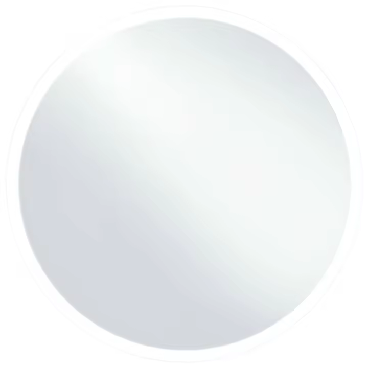 VidaXL Espejo de baño redondo con luces LED plata Ø80cm - 1