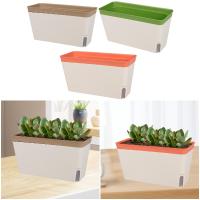 Maceta Autoidal Para Jardín Patio Balcón Interior Exterior Plástico Moderno Para Plantas De Cocina Violeta Africana Y Railing - details 2