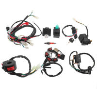 Kit De Cableado Eléctrico Completo CDI STATOR Para Motocicleta ATV Quad Bicicleta De Pista Carrocería 50cc 70cc 90cc 110cc 125cc - details 0
