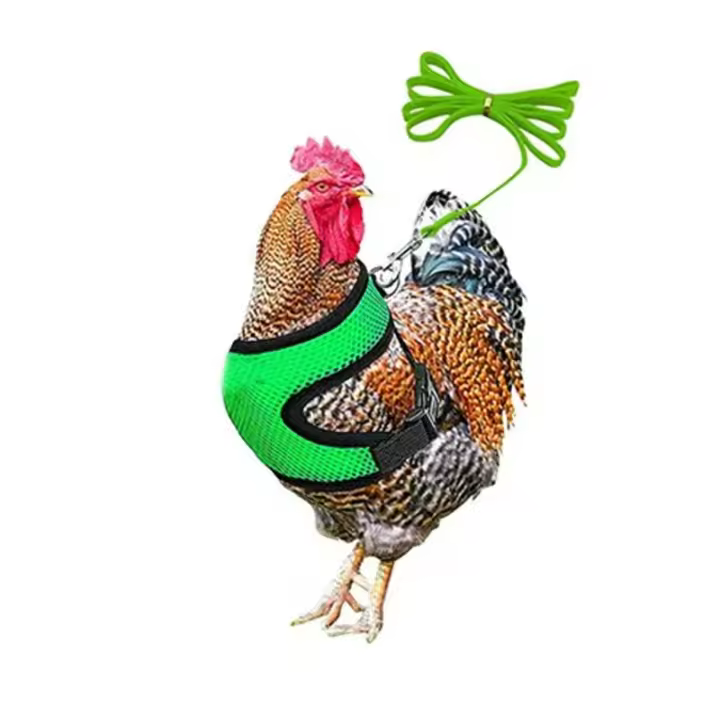 Chicken Harness with Leash, Adjustable Chicken Leash for Hens, Ducks, Puppies (Green, Medium) - 1