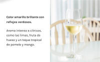 Raimat Clamor Blanco Eco - Vino Blanco - Caja 6 botellas 75cl - details 3