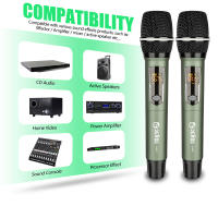Micrófono Inalámbrico UHF Rechargeable 2 Canales Microfonos Dinámicos Ajustable Frequence Para Escenario 200 Pies DL602 - details 11