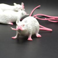 Modelo De Rata Pequeña Falsa Y Realista Juguete De Terror Divertido Para Fiesta De Halloween Decoración Práctica Broma Juguete De Novedad Para Gatos - details 3