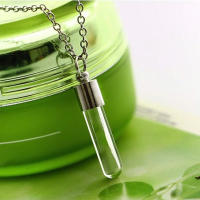 Urnita De Acero Inoxidable Para Ashes Colgante Memoriales Portador De Restos De Animales Pequeños Joyería De Cremación - details 4