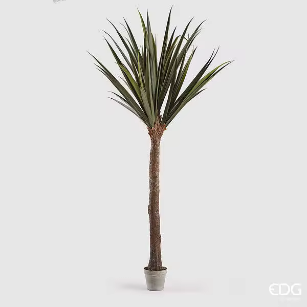 EDG Enzo De Gasperi Yucca con Jarrón H 254 Cm Color Verde - 1