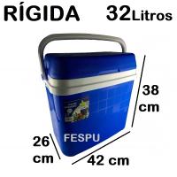 Nevera de playa,camping, PLASTICO rigito,PORTATIL ,10/18/24/30 litros ,COLOR AZUL, CON ASA,atlantic,fespu - details 0