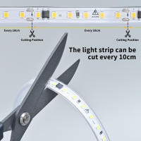 Tira De Luces LED Impermeable 220V Alta Brillo 120LEDs/m Para Decoración De Hogar Cocina Jardín Exterior Con Interruptor - details 4