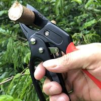 Tijeras De Jardín Con Resorte Integrado Y Acero SK-5 Herramienta De Eliminación De Coche Pruner Apto Para Jardinería Y Corte De Vehículos - details 5