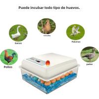 Incubador De Huevos 20 Unidades Para Pato Ganso Pollo Ajuste Automático De Temperatura Herramienta De Eclosionamiento De Huevos De Aves De Corral - details 2