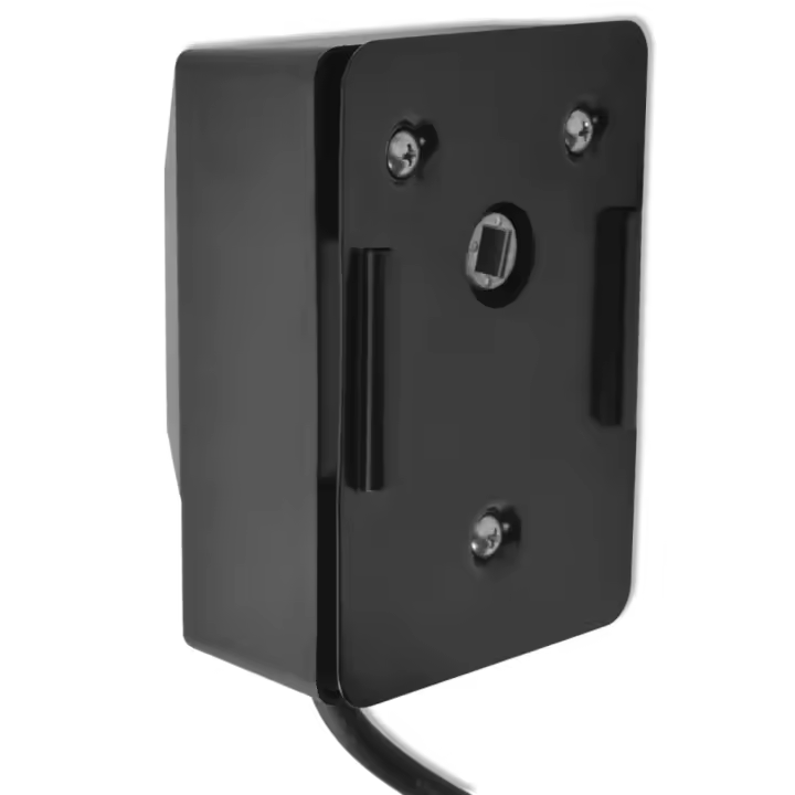 vidaXL Motor para espetón de asado/barbacoa 4 W negro - 1