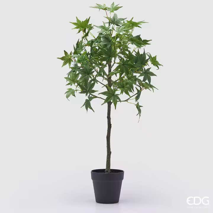 EDG Enzo De Gasperi Arce con Jarrón Artificial H 76 Cm Verde - 1