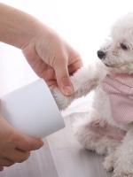 1Pcs Limpia Pies De Perro Y Gato En Un Solo Golpe Taza De Limpieza De Pies De Silicona Desechable Limpiador Manual Para Mascotas - details 6