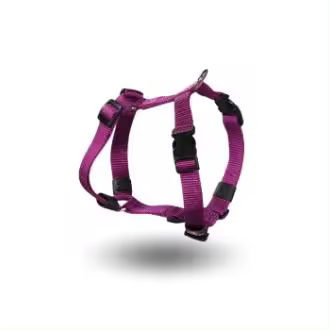 Arnes ARPPE Nylon Morado Talla 16 para Perros Adultos en Adiestramiento - 1