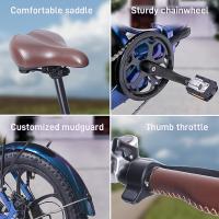 Bicicleta eléctrica Fafrees F20 Pro Neumático grueso de 20 * 3,0 pulgadas Motor sin escobillas de 250 W Velocidad máxima de 25 km / h Engranajes de 7 velocidades con batería de litio extraíble de 36 V 18 AH Alcance máximo de 150 km- Gris - details 10