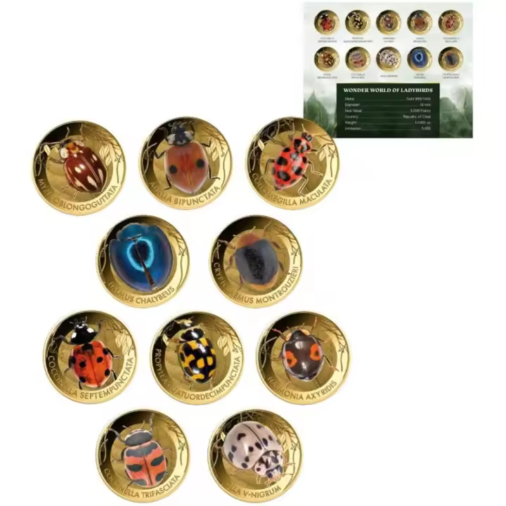 LADYBIRDS Wonder World Set 10 MonedasGold 3000 Francs Chad 2024 - 1
