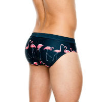 Shorts De Baño Para Hombre Estampado De Flamingo Sexy Briefs De Natación Estilo De Surf Boxer Trunks Traje De Baño Bikini Swimwear Azul - details 6
