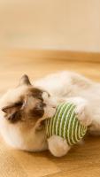 Bola De Madera Para Gatos 10CM Interactiva Con Sonidos Hecha a Mano Sisal Juguete Para Gatos Y Gatitos Para El Hogar - details 2
