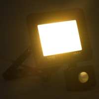 vidaXL Foco LED con sensor 30 W blanco cálido - details 1