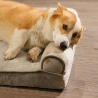Sofá cama para perros pequeños con doble reposacabezas, espuma de huevo, funda lavable, sofá cama, cojín antideslizante para perros. - details 1
