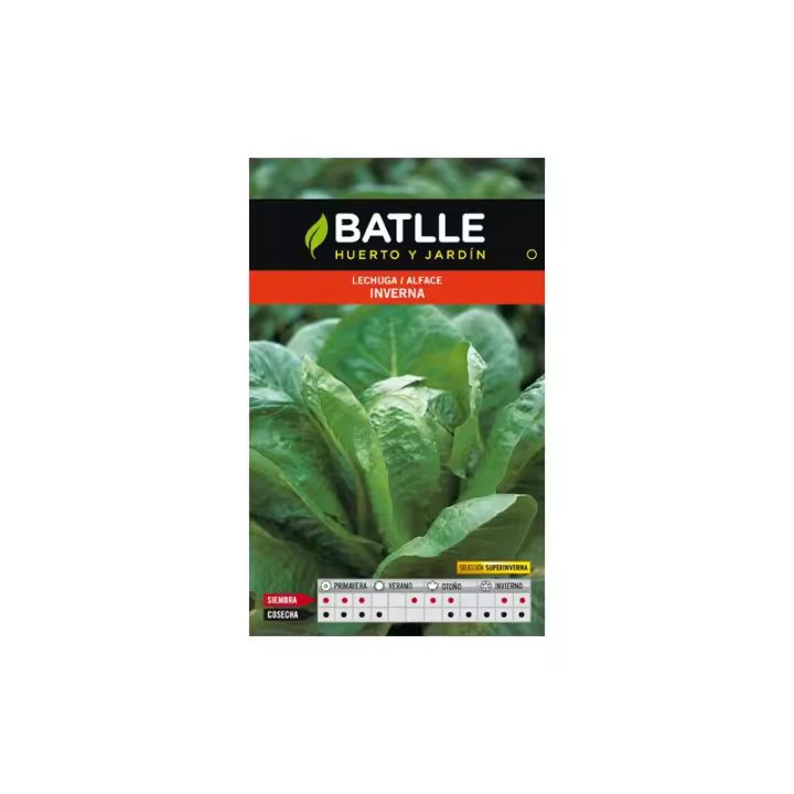 Batlle - LECHUGA INVERNA SSUPERINVERNA - 1