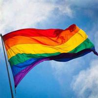 Bandera Arcoíris De Poliéster Para Exterior Grande Banderín De Fiesta LGBT Bandera Colgante De Paz (90x150cm) Para Exterior - details 4